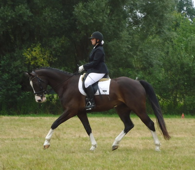 Kelly Heyns & Donnerstein