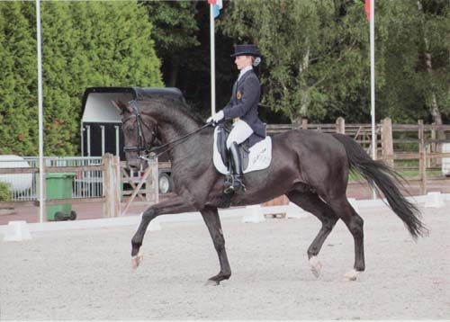 Annelies Crul & Tideman W