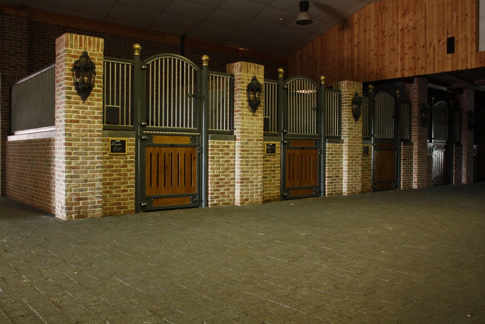 Fiechter Quality dressage horses BVBA